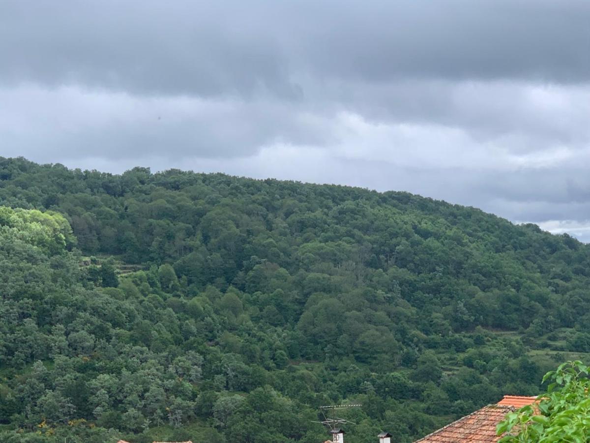 Pereira  Casa Cima De Vilaヴィラ エクステリア 写真